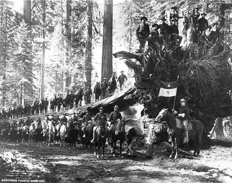 Troop F on Fallen Monarch, Yosemite